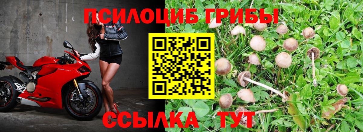 Галлюциногенные грибы мицелий Ишимбай
