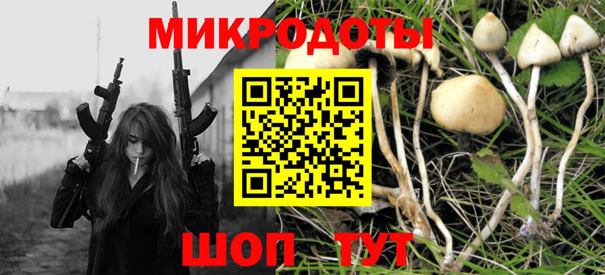 Ишимбай  Псилоцибиновые грибы мухоморы  Вход с VPN 